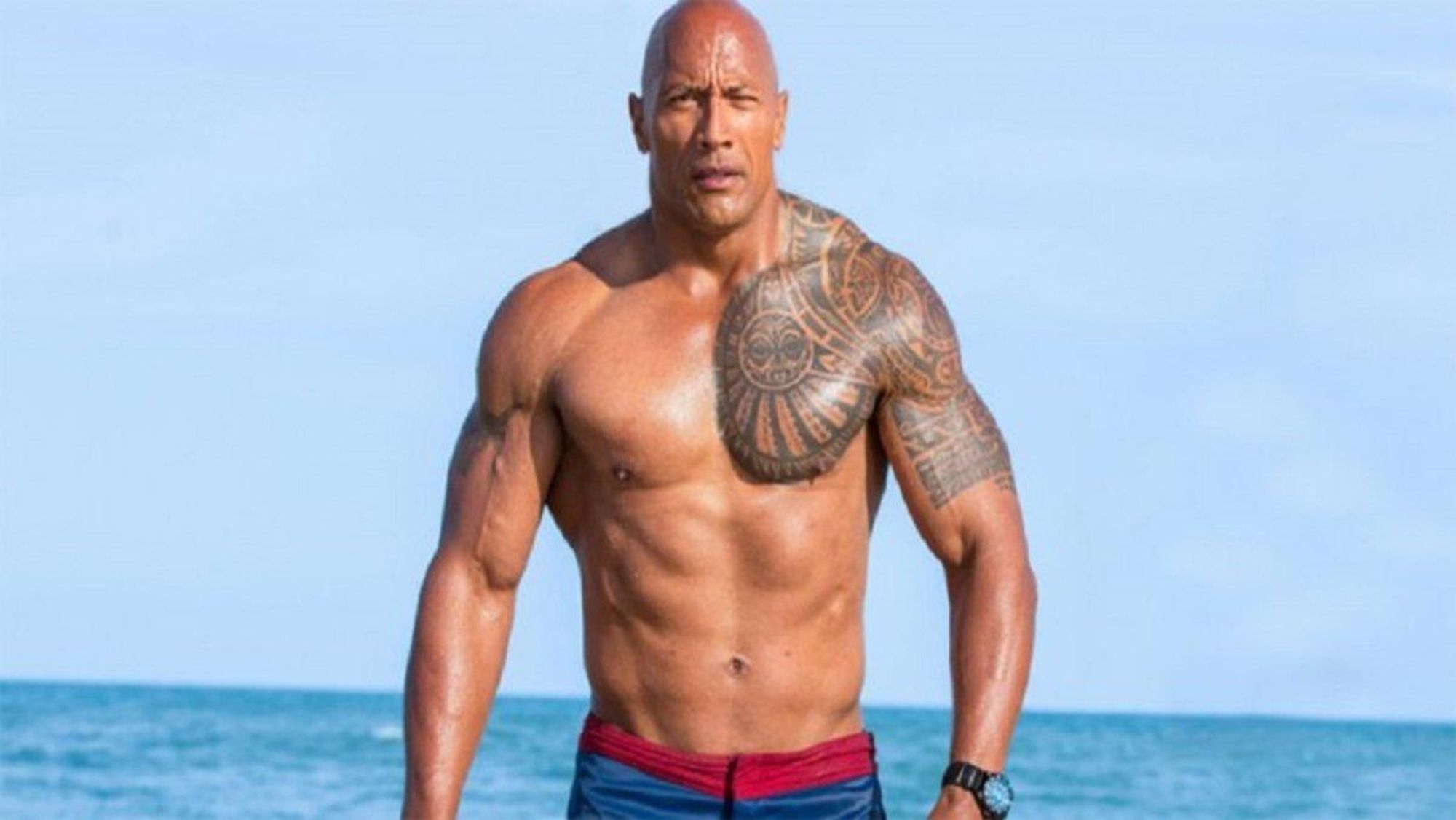 The Rock