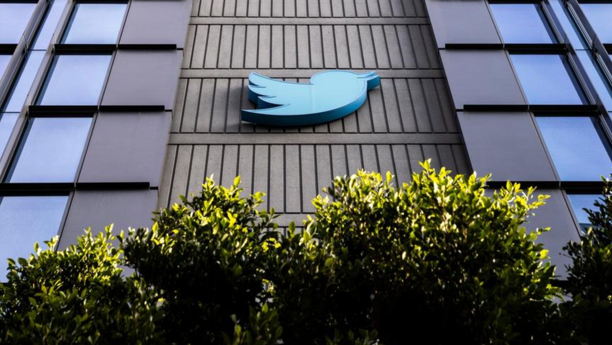 Sede de Twitter Sede de Twitter