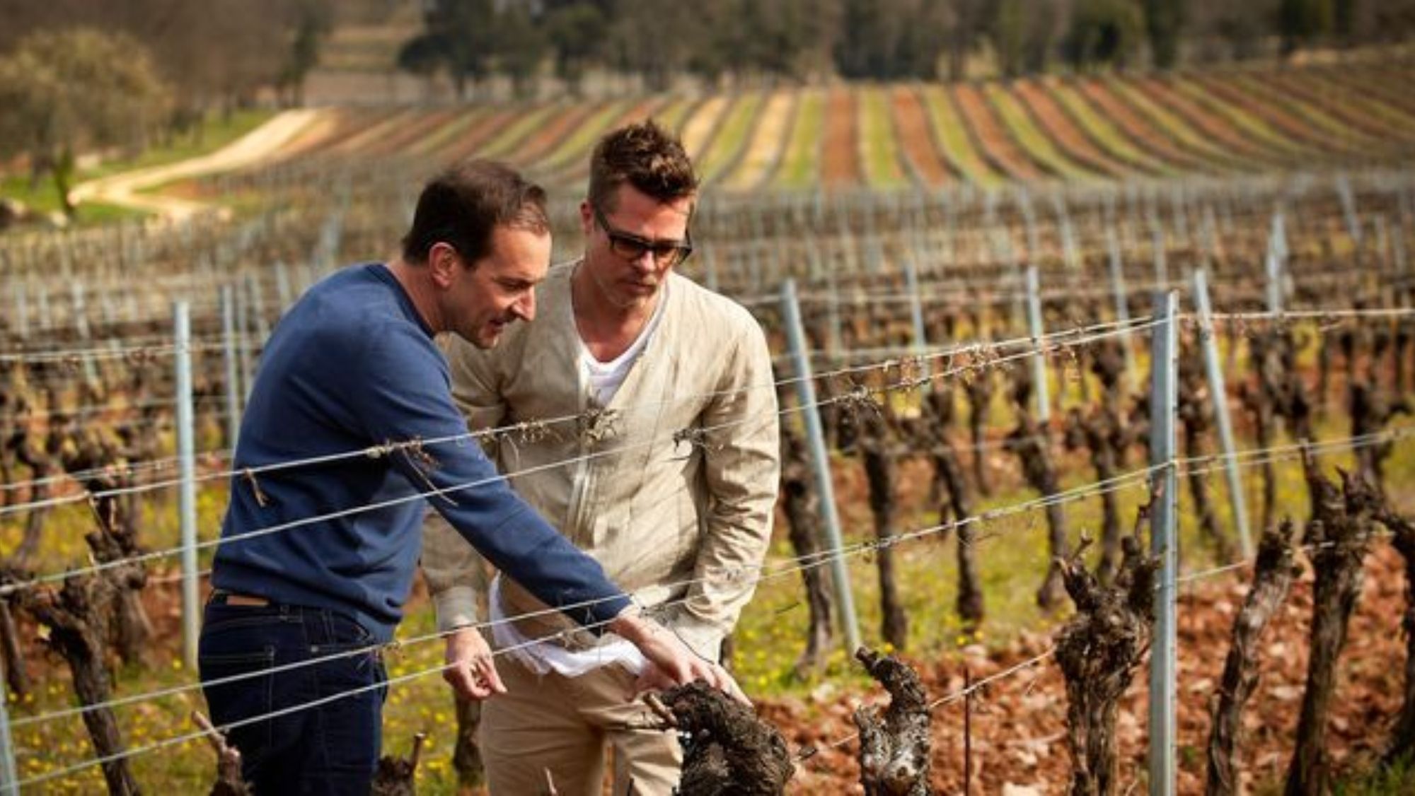Brad Pitt en el viñedo de Miraval Brad Pitt en el viñedo de Miraval