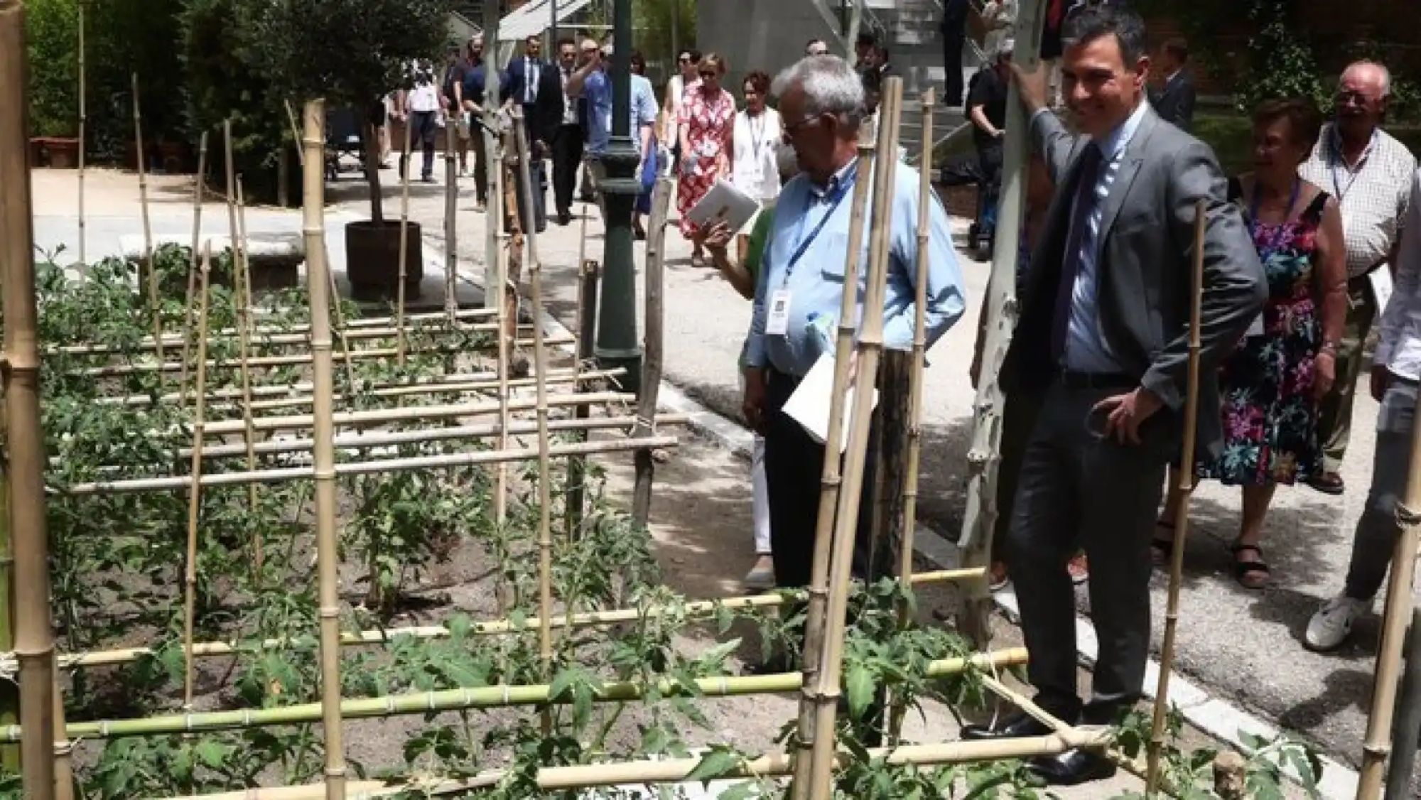 Pedro Sánchez en el huerto urbano Pedro Sánchez en el huerto urbano