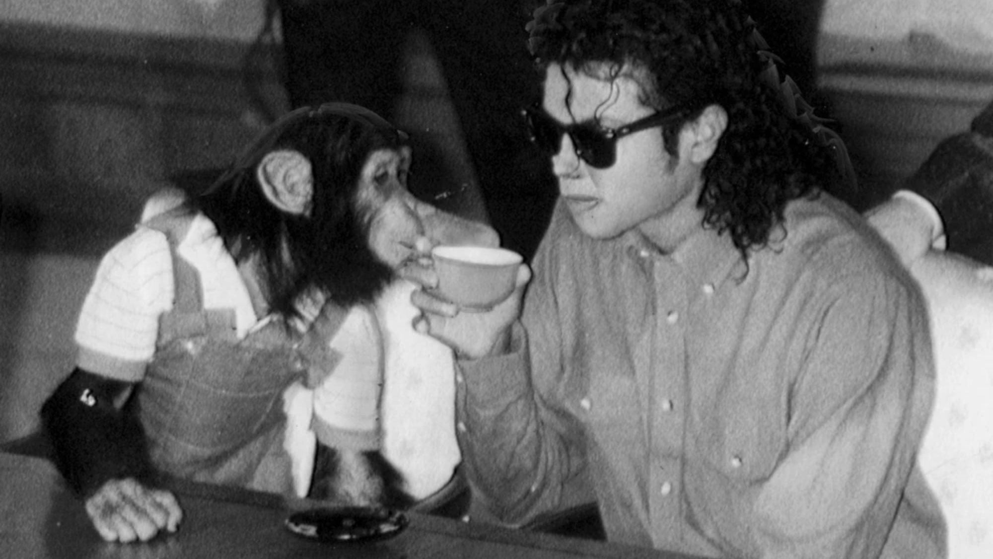 Michael Jackson y Bubbles Michael Jackson y Bubbles