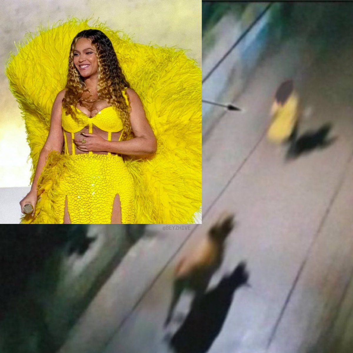 Beyoncé perseguida por un camello Beyoncé perseguida por un camello